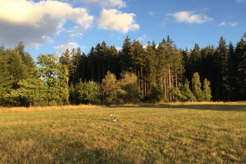 Hiking & Koučink v Brdech pro ženy