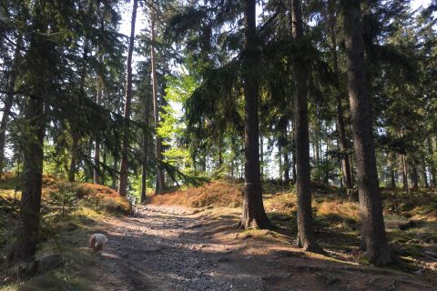 Hiking & Koučink v Brdech pro ženy